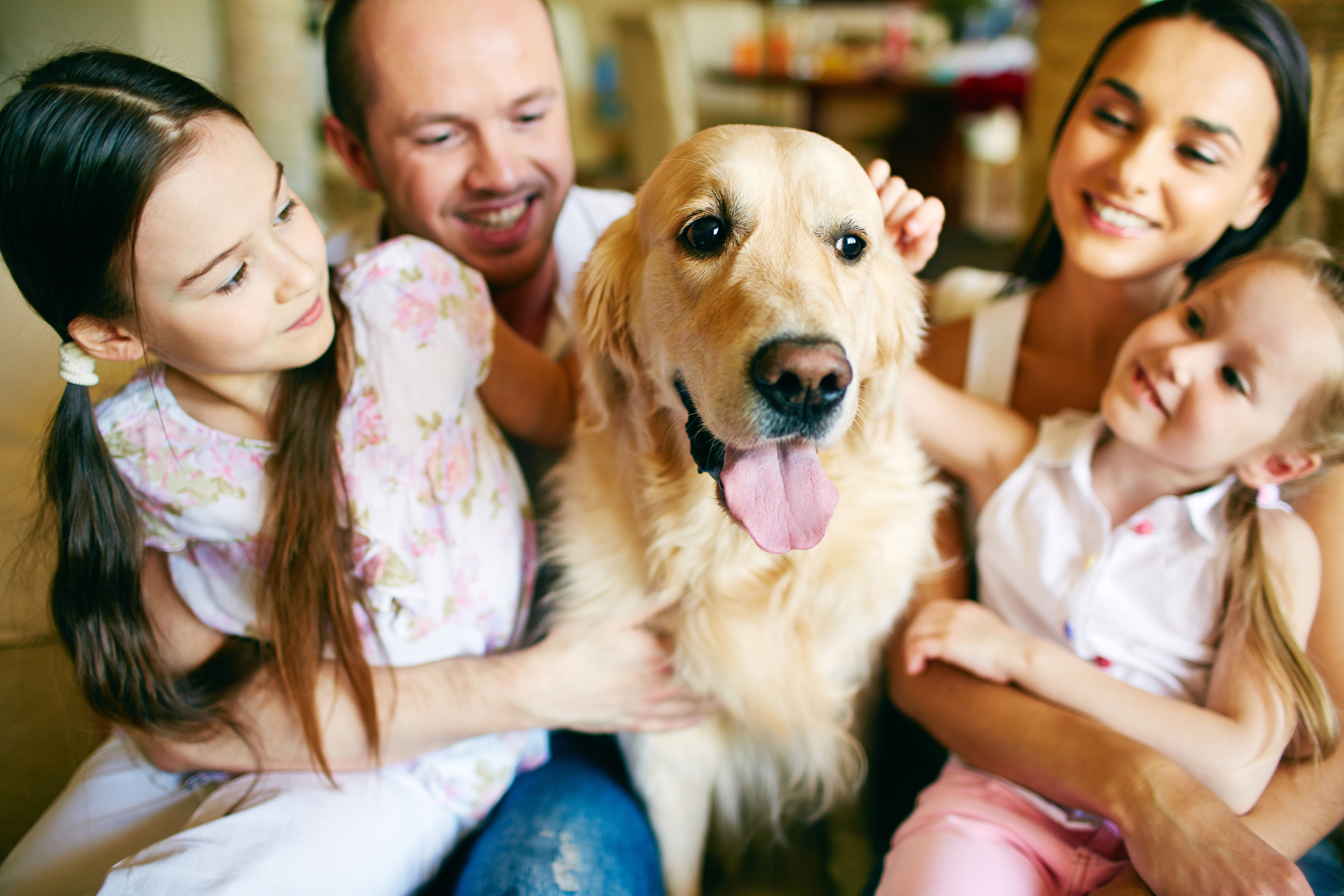 A young family of four cuddling their pet together