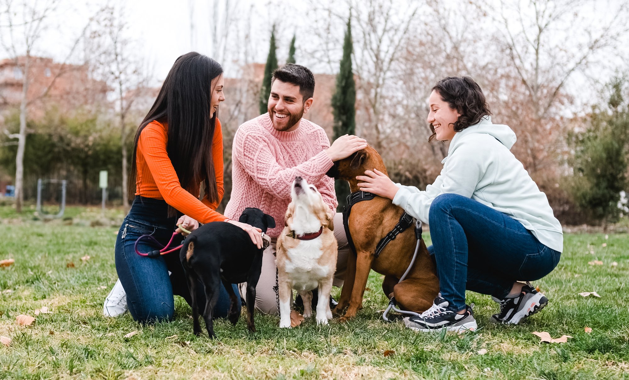 Families with dogs