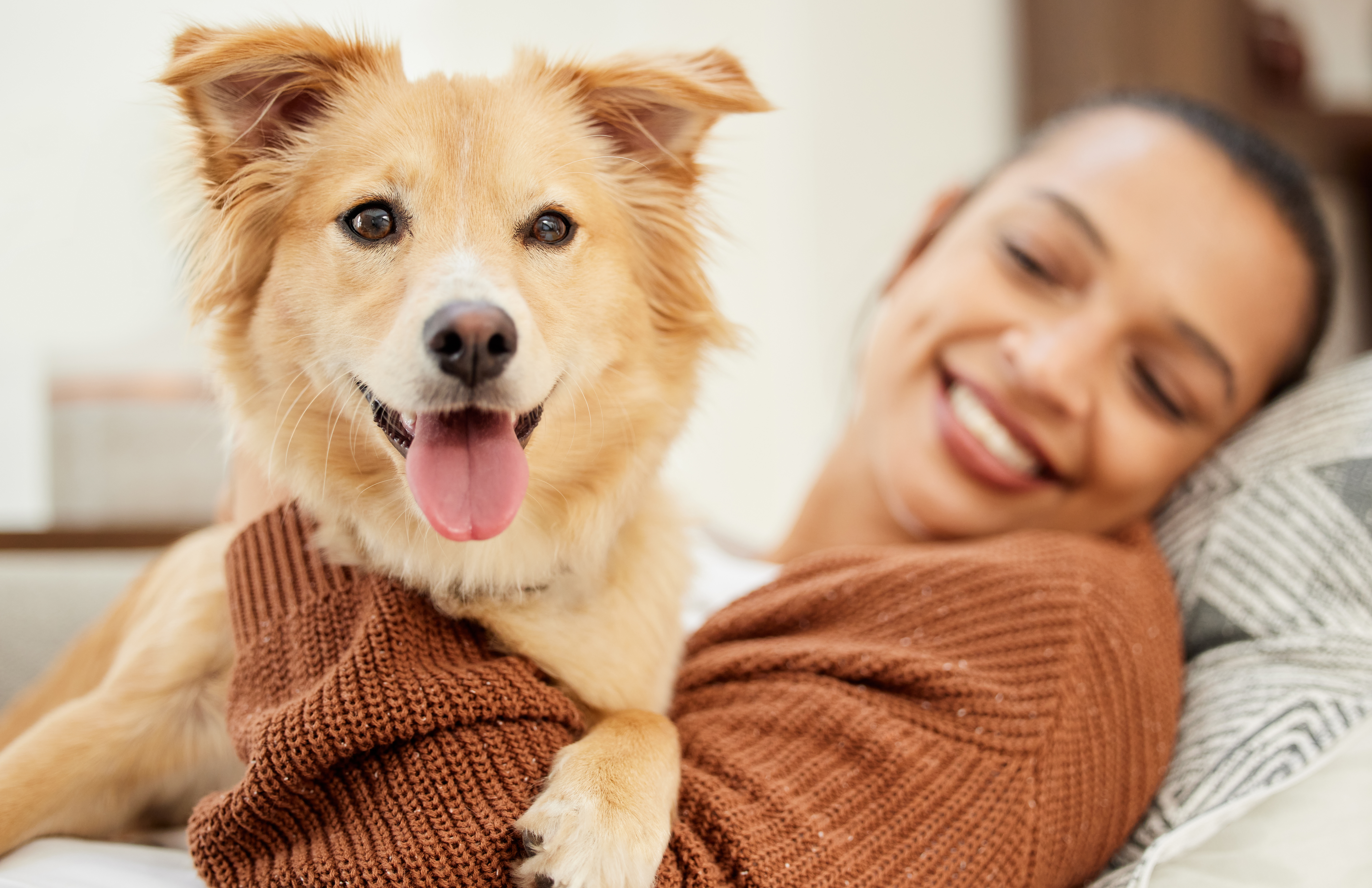 A young woman relaxing on the couch with her dog at home